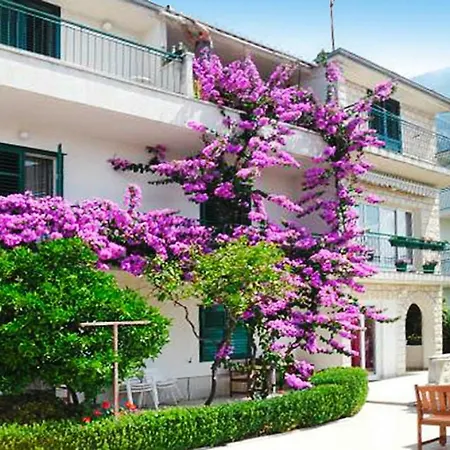Fortune - Cdm05027-eyf Makarska